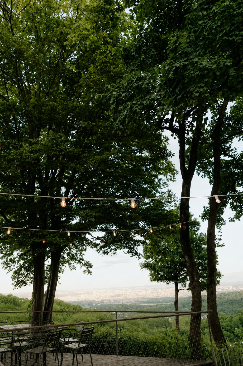 Blick von der Terrasse der Location über den Wienerwald auf Wien